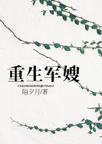 重生军嫂之彪悍妻苏灿