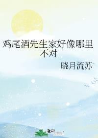 鸡尾酒先生家好像哪里不对最新章节更新