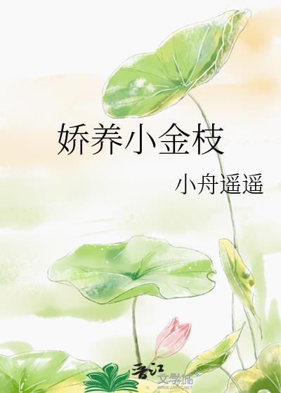 娇养小金枝by小舟遥遥百度