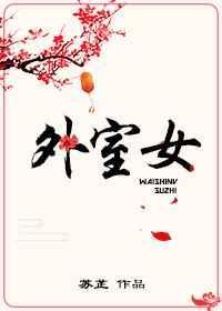 外室女讲的什么
