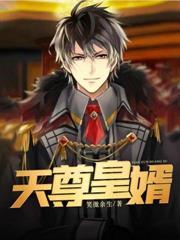 天尊皇婿免费阅读