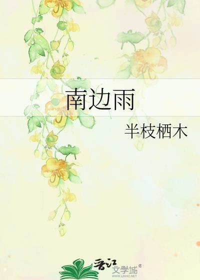 南边雨by半枝栖木txt