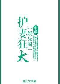 护妻狂魔日剧别名