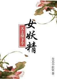 天上掉下个美娇娘无防盗章