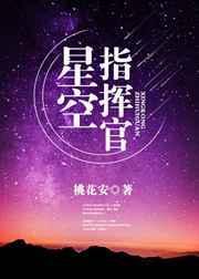 星空指挥官陆星微