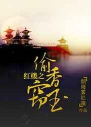 新红楼梦之偷香