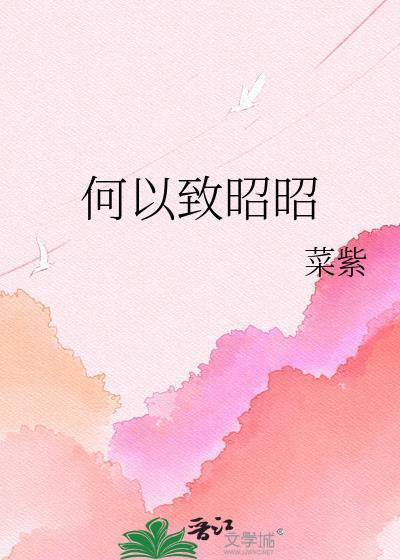 何以致昭昭免费阅读txt