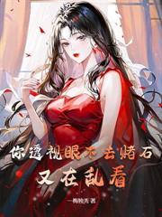 赌石鉴宝王全文阅读