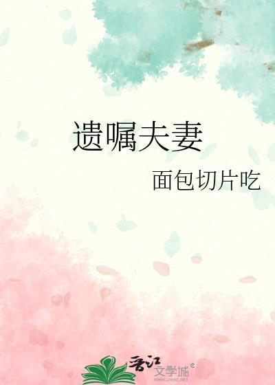 遗嘱夫妻txt面包切片吃