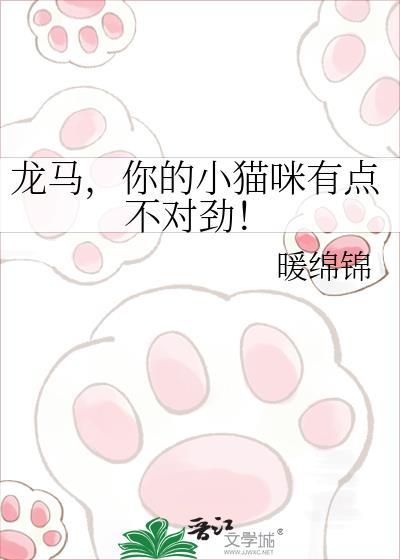 龙马的猫什么品种