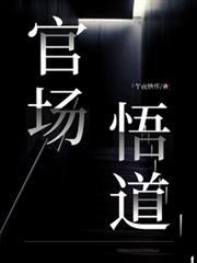 官场悟道叶剑阅读