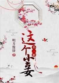 这个小妾不一般免费阅读全文