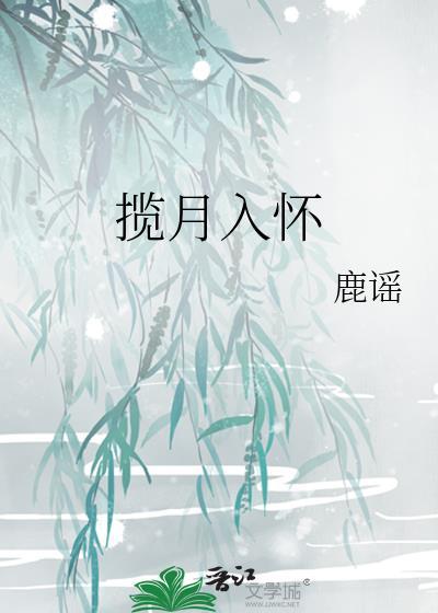 揽月入怀情侣名