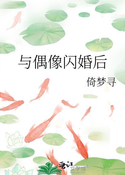 和偶像闪婚之后阅读