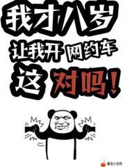 让我开网约车这对吗?萧诧