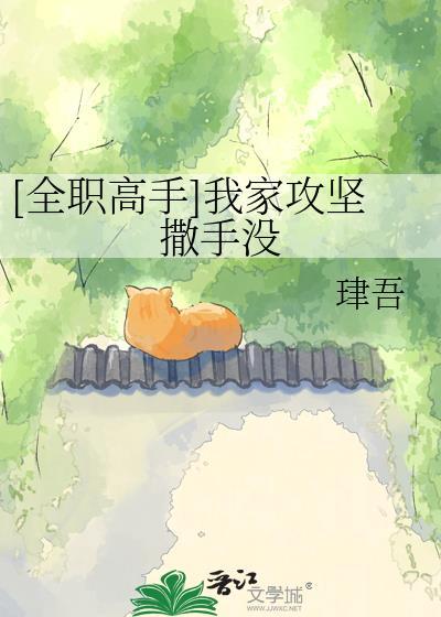 全职高手之我要攻略