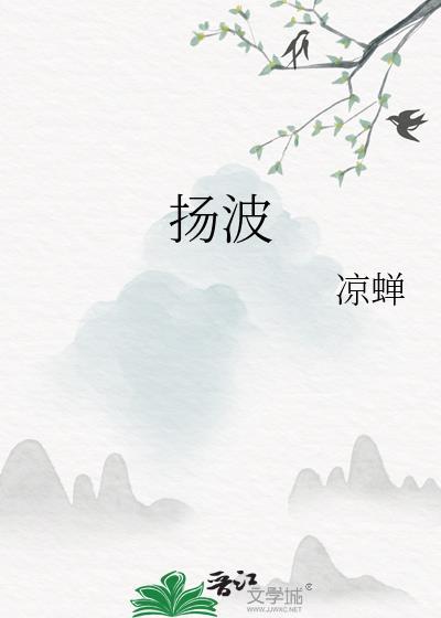 扬波小学属于什么档次