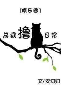 L总裁