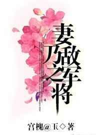 妻乃敌军之将by