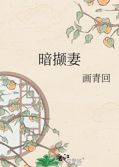 暗撷妻 百度