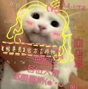 综英美官方吉祥物txt 文心