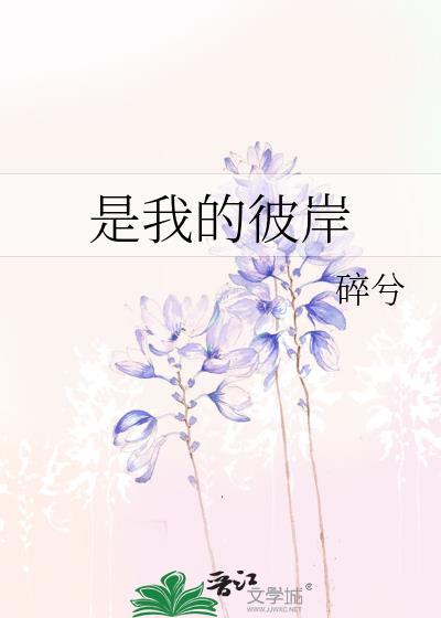 是我的彼岸完整版在线阅读