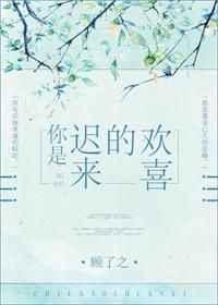 你是迟来的欢喜1-30集全