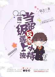 当超级反派遇上小波特27