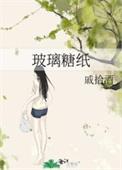 玻璃糖纸记事簿全文免费阅读最新章