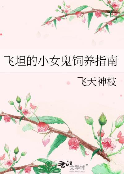 飞坦同人女主