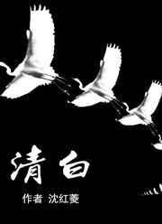 清白传家