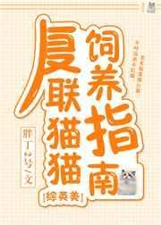 复仇者联盟里的猫叫啥