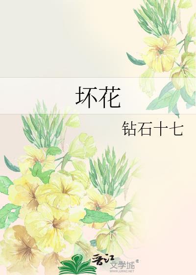坏花钻石十七