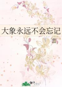 大象永远不会遗忘