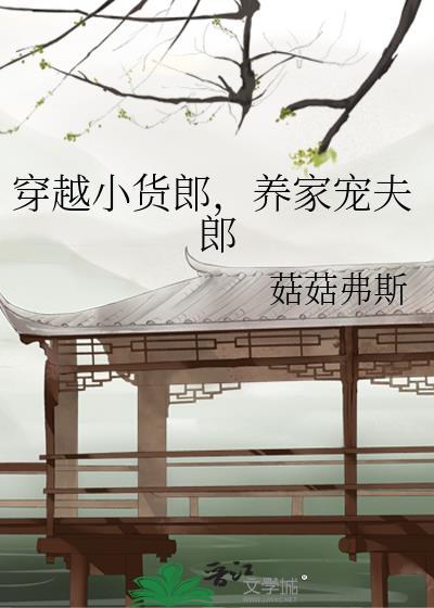 穿越小货郎养家宠夫郎免费阅读