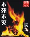 不死不灭辰东 免费