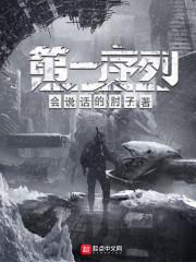 第一序列动漫第二季免费观看全集